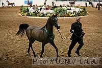 usn07_07690 proof