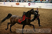 usn07_07697 proof
