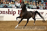 usn07_07898 proof
