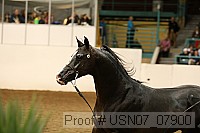 usn07_07900 proof
