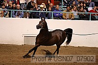 usn07_07902 proof