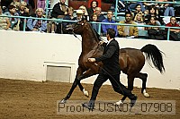usn07_07908 proof