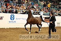 usn07_07909 proof