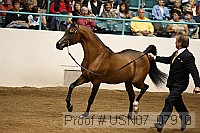 usn07_07910 proof