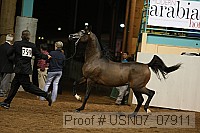 usn07_07911 proof