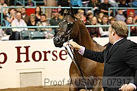 usn07_07917 proof