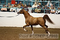 usn07_07918 proof