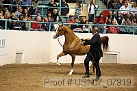 usn07_07919 proof
