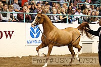 usn07_07921 proof