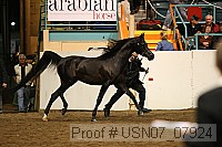 usn07_07924 proof