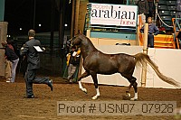 usn07_07928 proof