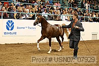 usn07_07929 proof