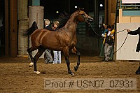 usn07_07931 proof