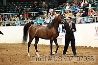 usn07_07936 proof