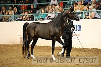 usn07_07937 proof