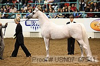 usn07_07941 proof