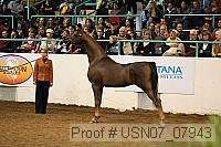 usn07_07943 proof
