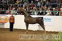 usn07_07944 proof