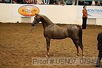 usn07_07945 proof
