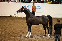 usn07_07946 proof