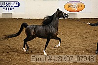 usn07_07948 proof