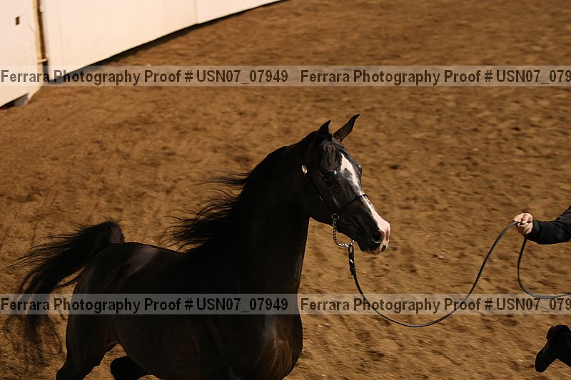 Proof usn07_07949