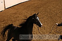 usn07_07949 proof