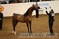 usn07_07950 proof