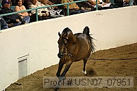 usn07_07951 proof