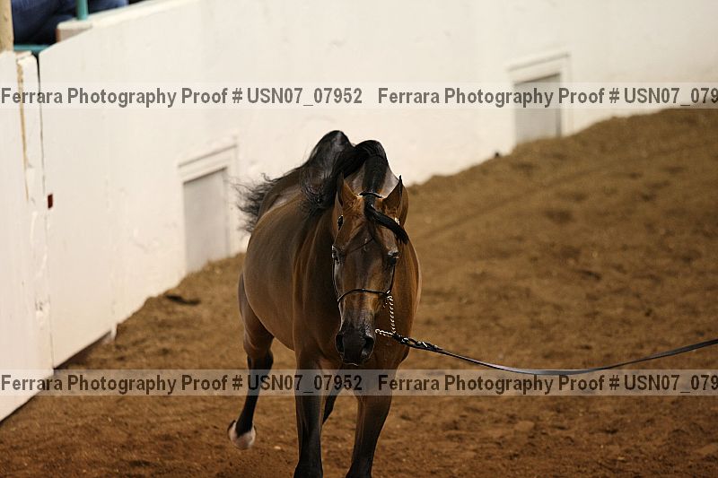 Proof usn07_07952