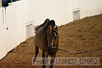usn07_07952 proof