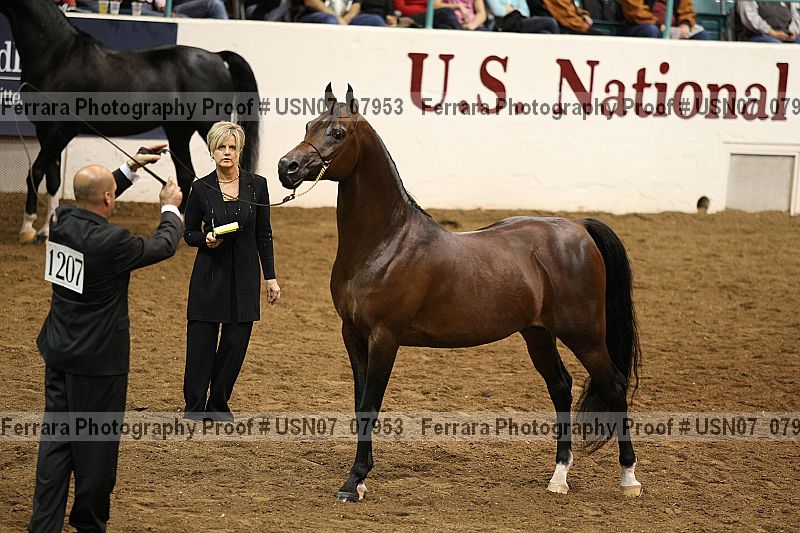 Proof usn07_07953