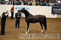 usn07_07956 proof