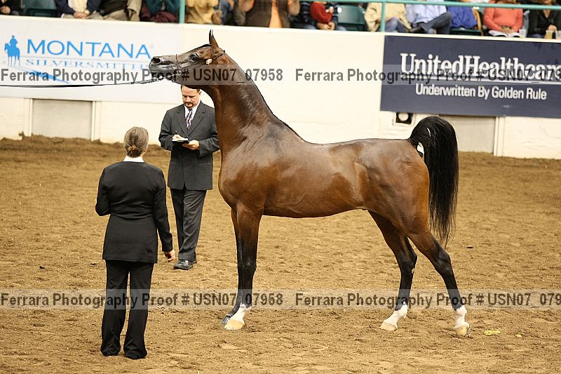 Proof usn07_07958