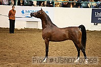 usn07_07959 proof