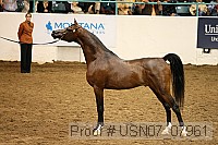 usn07_07961 proof