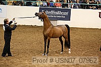 usn07_07962 proof