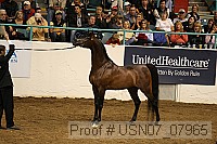 usn07_07965 proof