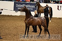 usn07_07966 proof