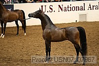 usn07_07967 proof
