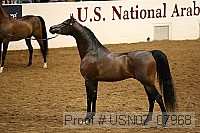 usn07_07968 proof