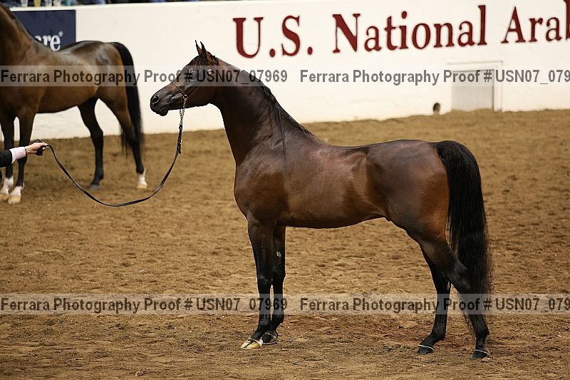 Proof usn07_07969