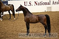 usn07_07969 proof