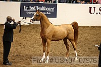 usn07_07976 proof