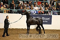 usn07_07980 proof