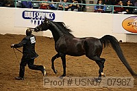 usn07_07987 proof