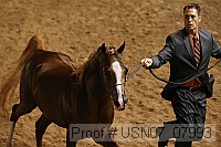 usn07_07993 proof