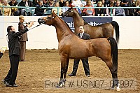 usn07_07997 proof