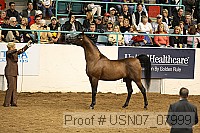 usn07_07999 proof