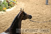 usn07_08006 proof
